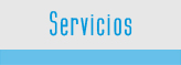 Servicios