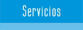 Servicios